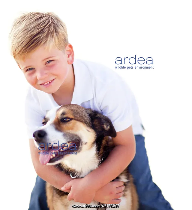 : Handsome young boy playing with his dog isolated : Handsome young boy playing with his dog isolated