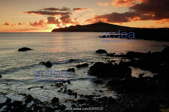 : Hanga HoIonu or La PA rouse Bay with Poike Peninsula : Hanga HoIonu or La PA rouse Bay with Poike Peninsula