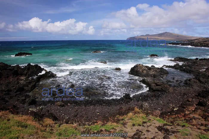 : Hanga HoIonu or La PA rouse Bay with Poike Peninsula : Hanga HoIonu or La PA rouse Bay with Poike Peninsula