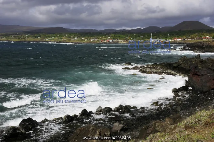 : Hanga Roa, principal town of the island, and its : Hanga Roa, principal town of the island, and its
