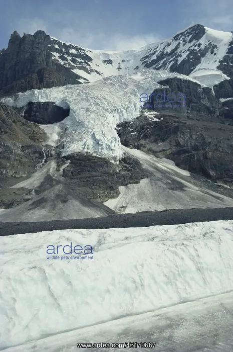 : Hanging Glacier, Columbia Icefield : Hanging Glacier, Columbia Icefield