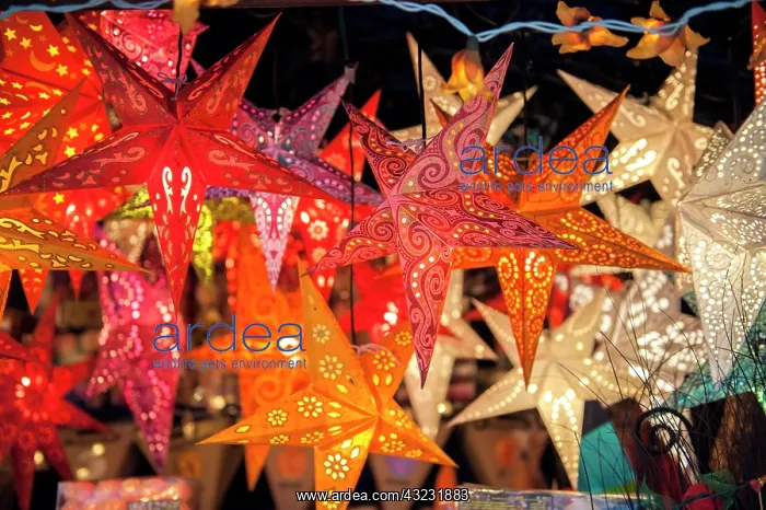 : Hanging paper cutout star lamps, Christmas : Hanging paper cutout star lamps, Christmas