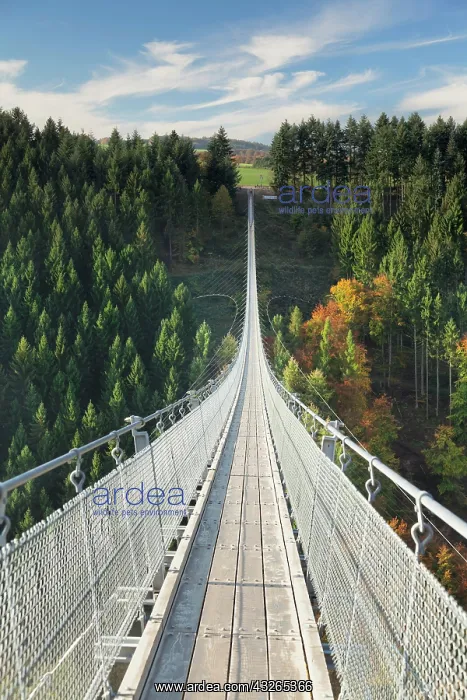: Hanging rope bridge Geierlay, M&, x1b2ce4;orfer Bachtal : Hanging rope bridge Geierlay, M&, x1b2ce4;orfer Bachtal