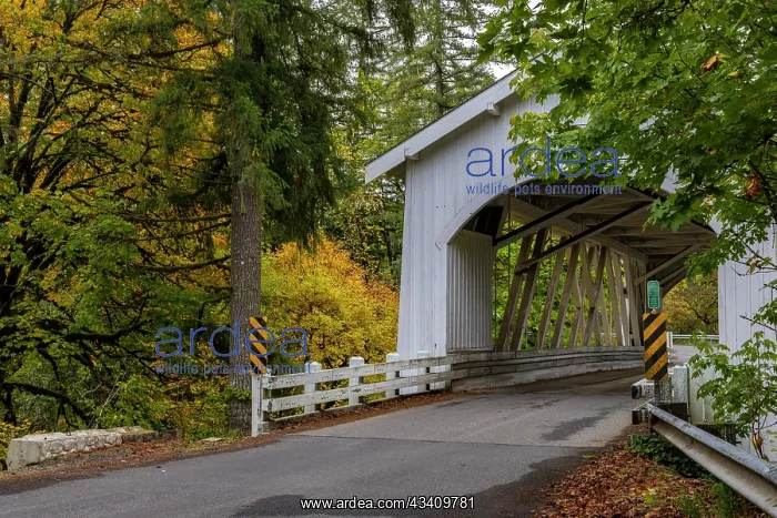 : Hannah Covered Bridge spans Thomas Creek in Linn : Hannah Covered Bridge spans Thomas Creek in Linn
