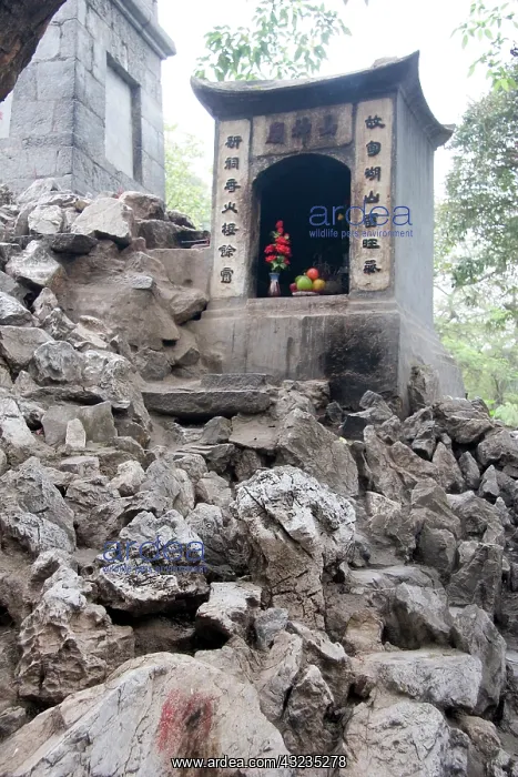 : Hanoi, Vietnam. Various shrines and places : Hanoi, Vietnam. Various shrines and places