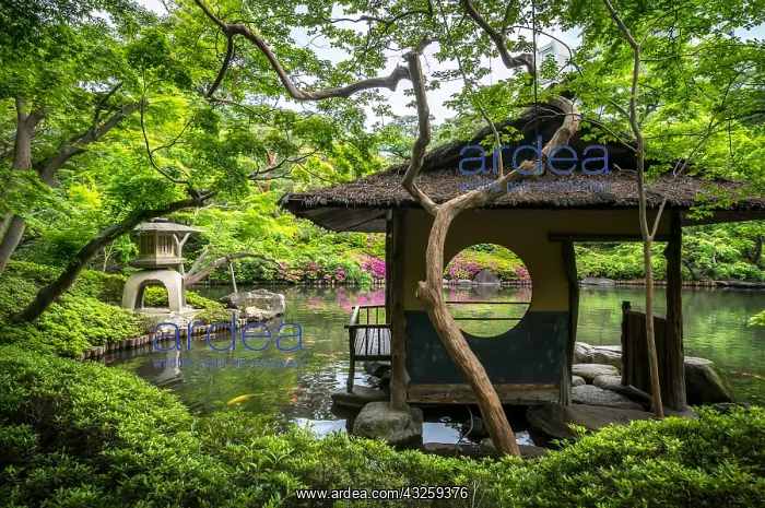 : Happoen japanese's garden, tea house and azalea : Happoen japanese's garden, tea house and azalea
