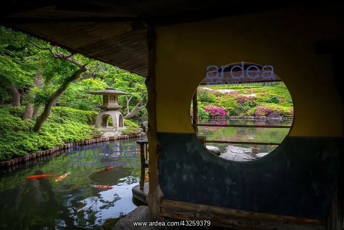 : Happoen japanese's garden, tea house and azalea : Happoen japanese's garden, tea house and azalea