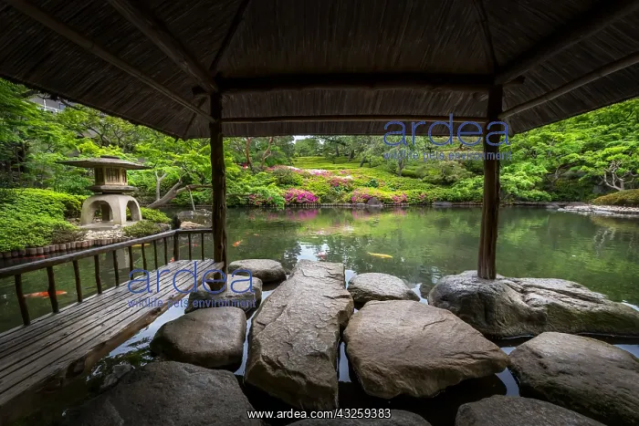 : Happoen japanese's garden, tea house and azalea : Happoen japanese's garden, tea house and azalea
