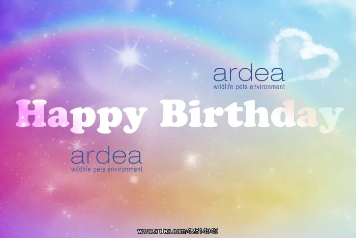 : Happy Birthday, written in the clouds with rainbow : Happy Birthday, written in the clouds with rainbow