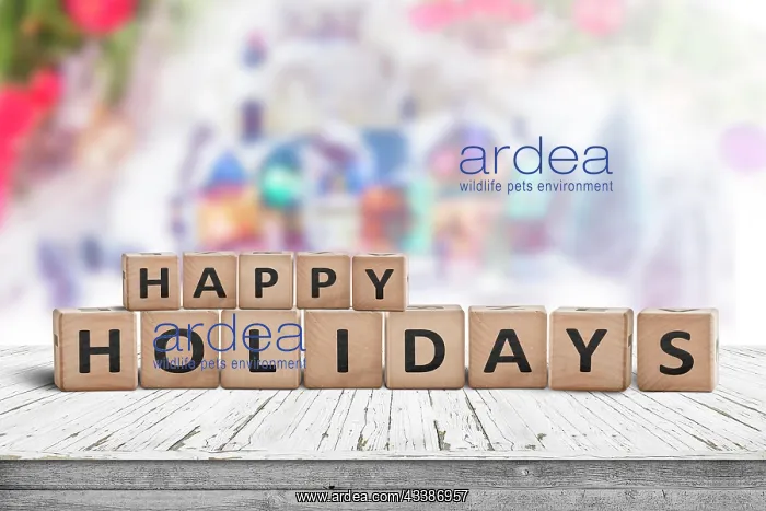 : Happy Holidays sign made of wooden toy cubes wit : Happy Holidays sign made of wooden toy cubes wit