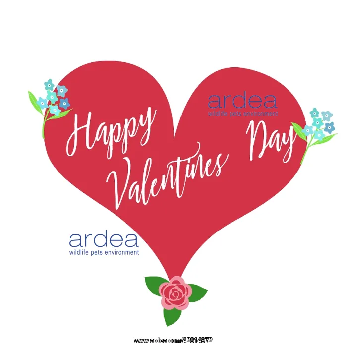 : Happy valentines day, heart with flowers : Happy valentines day, heart with flowers
