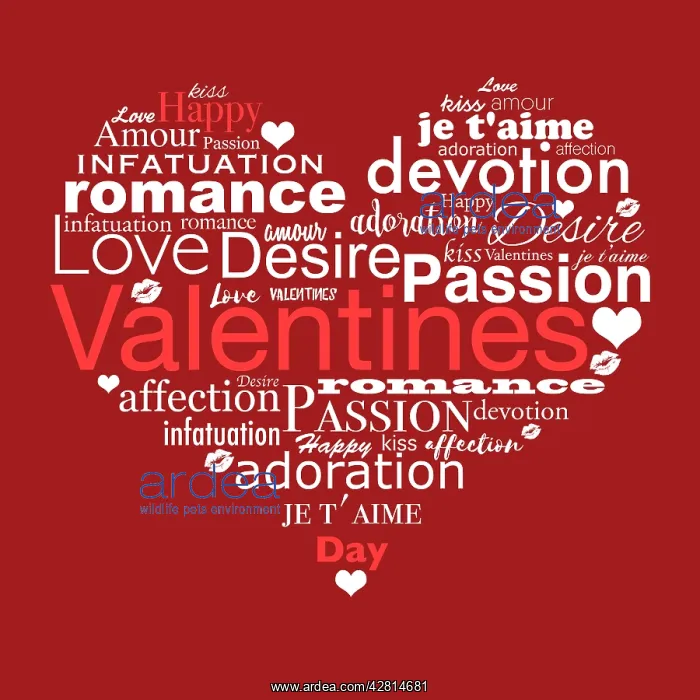 : Happy Valentines Day, typography heart shaped illustration : Happy Valentines Day, typography heart shaped illustration