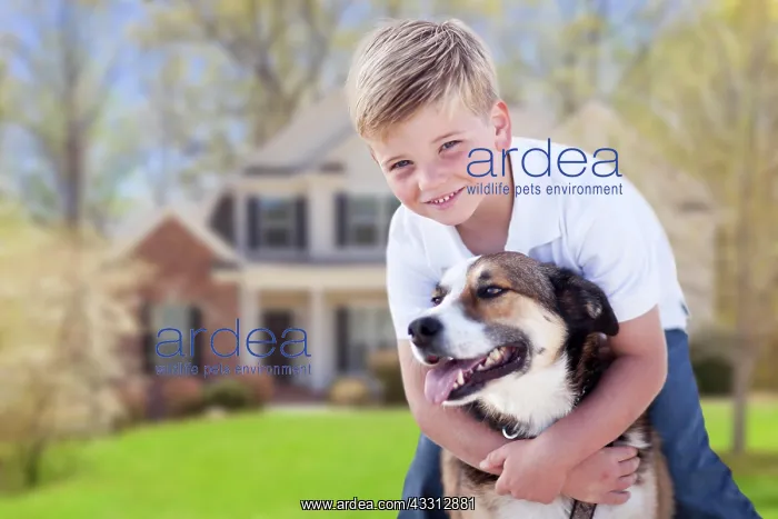 : Happy young boy and his dog in front yard of their house : Happy young boy and his dog in front yard of their house