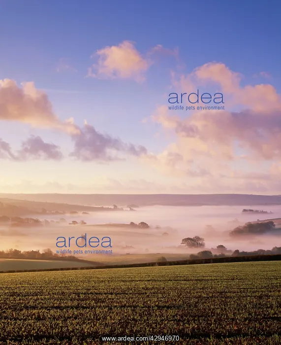 : Harberton, Devon, UK : Harberton, Devon, UK