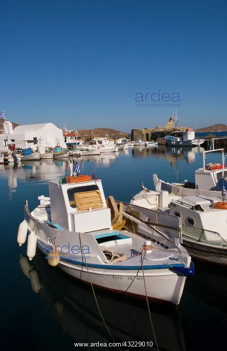 : Harbor Naoussa on Paros Island with fishing : Harbor Naoussa on Paros Island with fishing