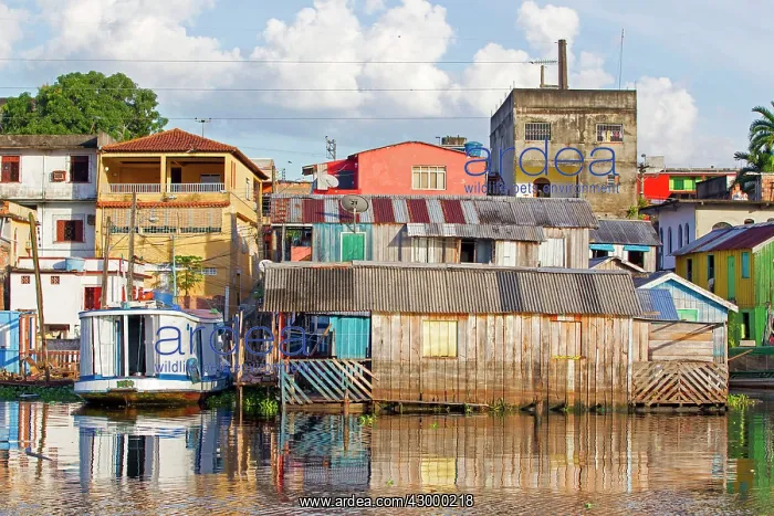 : Harbour Manaus Amazon River Basin Amazonas State Brazil South America : Harbour Manaus Amazon River Basin Amazonas State Brazil South America