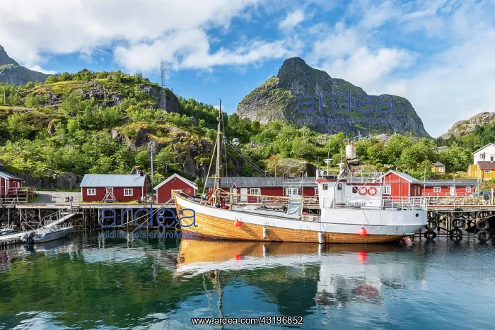 : Harbour with fishing boat, Rorbu cabins, historic : Harbour with fishing boat, Rorbu cabins, historic