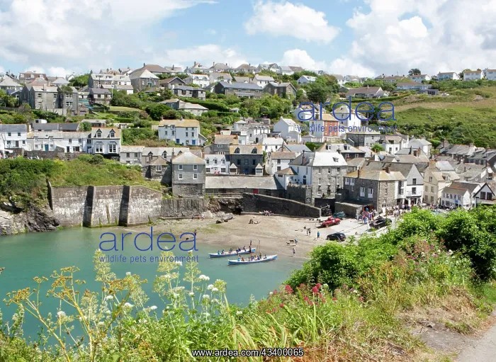 : Harbour (known around the world as Port : Harbour (known around the world as Port