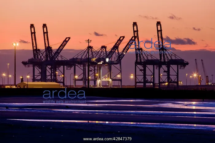 : Harbour by night : Harbour by night