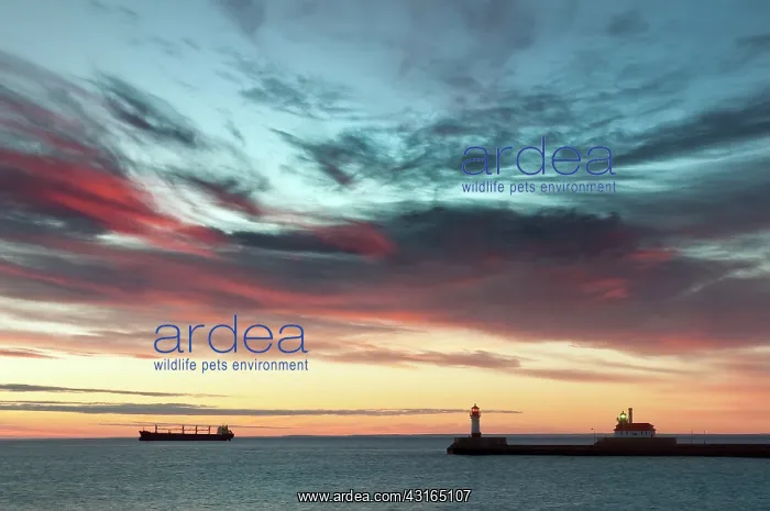 : Harbour pier with lighthouse at sunrise with a ship at the h : Harbour pier with lighthouse at sunrise with a ship at the h