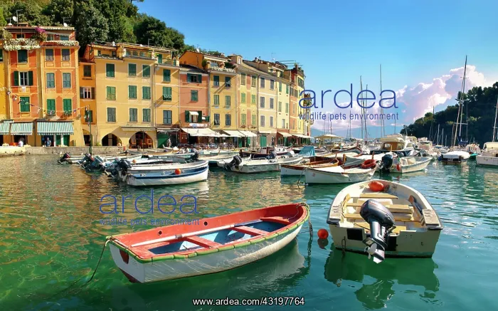 : Harbour of Portofino, Liguria, Italy, Europe : Harbour of Portofino, Liguria, Italy, Europe