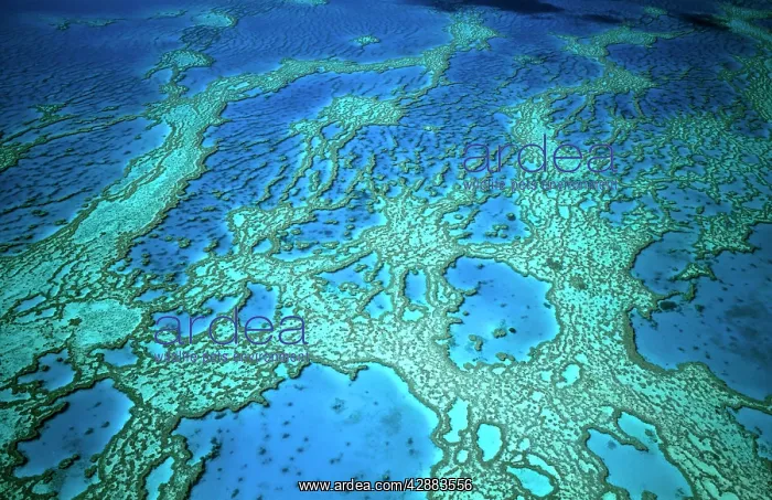 : Hardy Reef aerial of coral formations : Hardy Reef aerial of coral formations