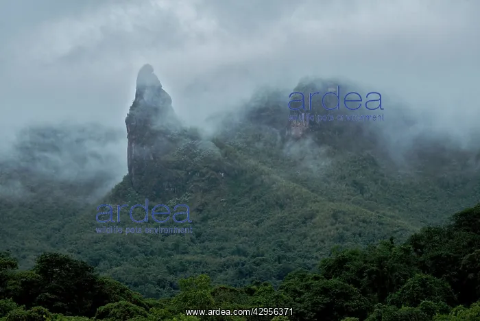 : Harenna escarpment : Harenna escarpment