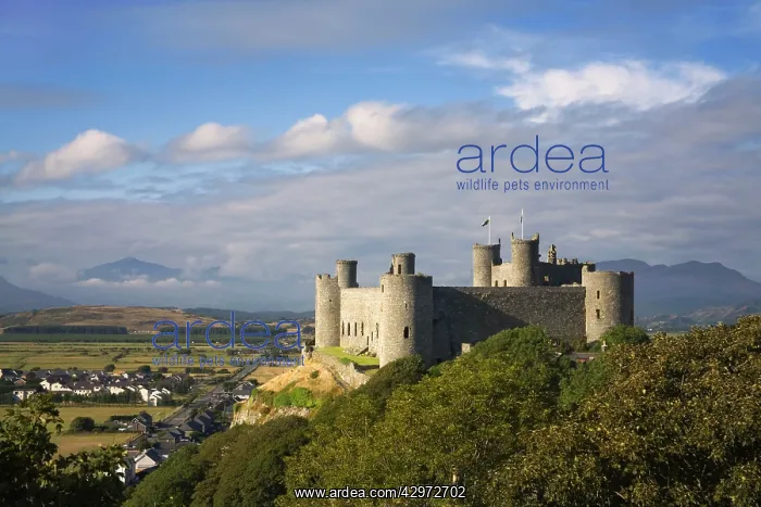 : Harlech Castle - over looking Harlech village with : Harlech Castle - over looking Harlech village with