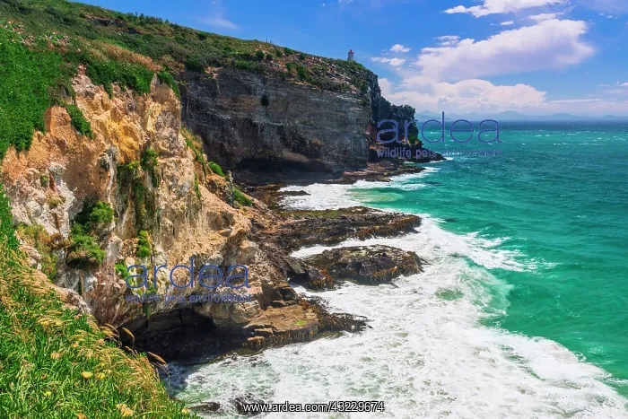 : Harrington Point on the Otago Peninsula, Otago : Harrington Point on the Otago Peninsula, Otago