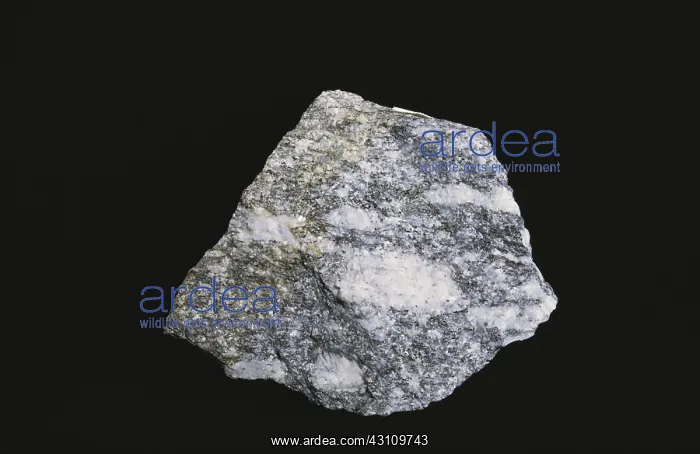 : Harrison Gneiss : Harrison Gneiss