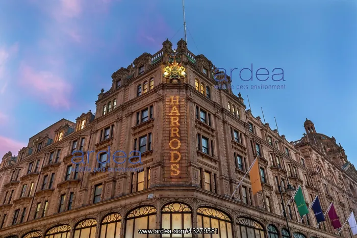 : Harrods Department Store, blue hour, London, Great : Harrods Department Store, blue hour, London, Great