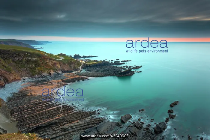  : Hartland Quay - Devon - UK