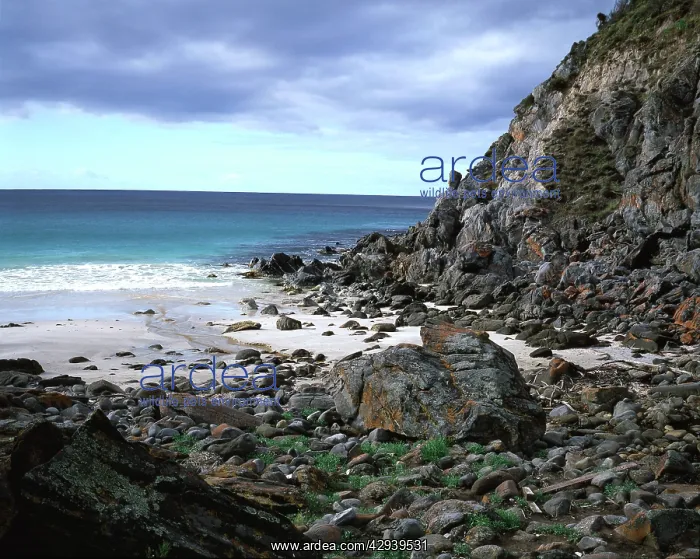 : Harveys Return, a secluded beach where supplies : Harveys Return, a secluded beach where supplies