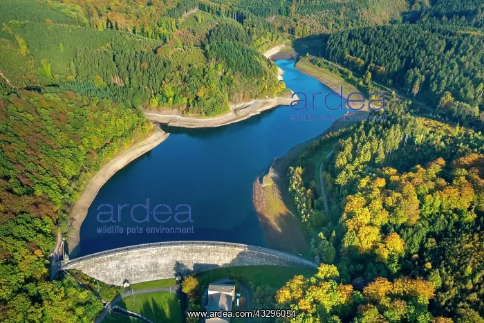 : Hasper Talsperre, Hasper dam at low tide, Ruhr : Hasper Talsperre, Hasper dam at low tide, Ruhr