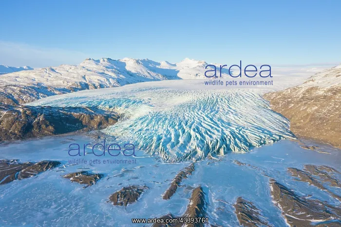 : Haukafell. Aerial view of the glacier tongue Haukafell - a part of Vatnajoekull : Haukafell. Aerial view of the glacier tongue Haukafell - a part of Vatnajoekull