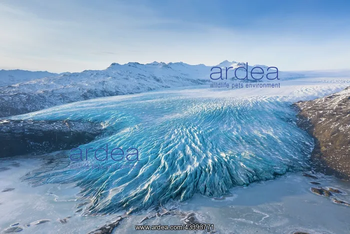 : Haukafell. Aerial view of the glacier tongue Haukafell - a part of Vatnajoekull : Haukafell. Aerial view of the glacier tongue Haukafell - a part of Vatnajoekull