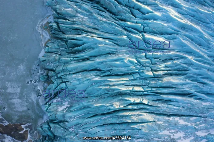 : Haukafell. Aerial view of the glacier tongue Haukafell - a part of Vatnajoekull : Haukafell. Aerial view of the glacier tongue Haukafell - a part of Vatnajoekull