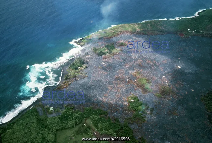: Hawaii - Kalapana gardens destroyed by lava from volcano : Hawaii - Kalapana gardens destroyed by lava from volcano
