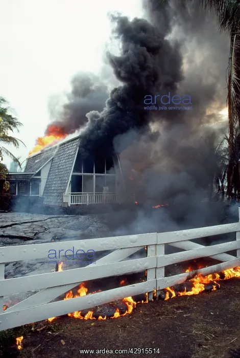 : Hawaii Kilauea Volcano - home destroyed by lava flow : Hawaii Kilauea Volcano - home destroyed by lava flow