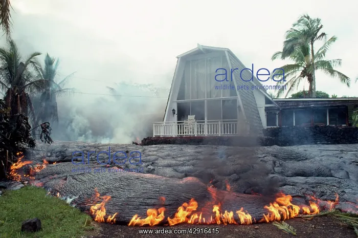: Hawaii Kilauea Volcano - home destroyed by lava flow : Hawaii Kilauea Volcano - home destroyed by lava flow