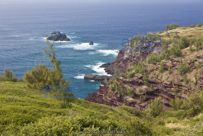  : Hawea Point an der Nordspitze von Maui, Maui, Hawaii
