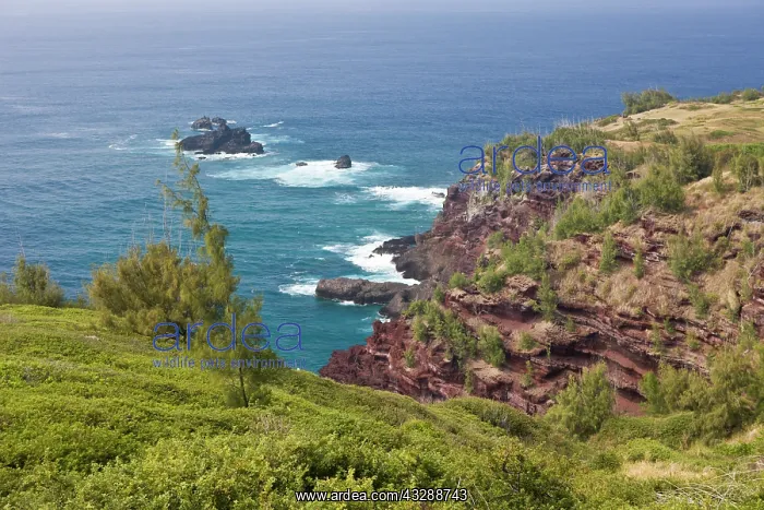 : Hawea Point at Northwest of Maui, Maui, Hawaii : Hawea Point at Northwest of Maui, Maui, Hawaii