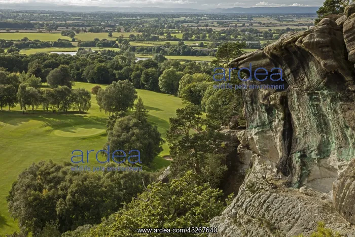: Hawkstone ridge, Shropshire, England, UK : Hawkstone ridge, Shropshire, England, UK