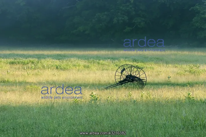 : Hay Baler, Ward Pound Ridge Reservation, NY : Hay Baler, Ward Pound Ridge Reservation, NY