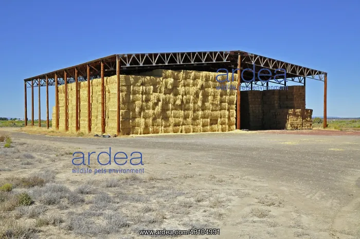 : Hay Barn; Christmas Valley, Oregon, USA : Hay Barn; Christmas Valley, Oregon, USA