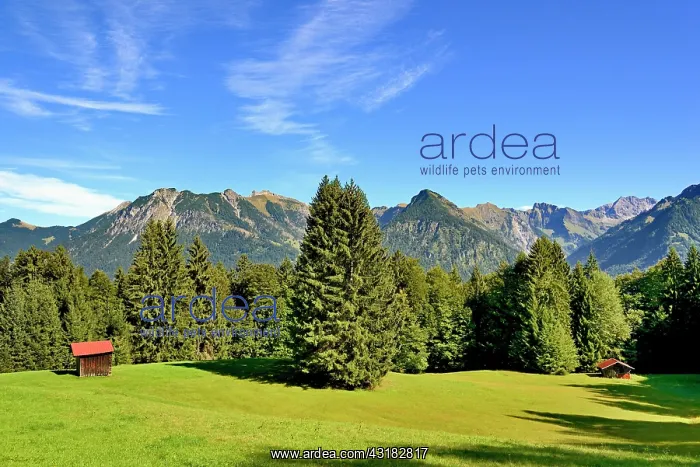 : Haystack on a mountain meadow, surrounded by mountain : Haystack on a mountain meadow, surrounded by mountain