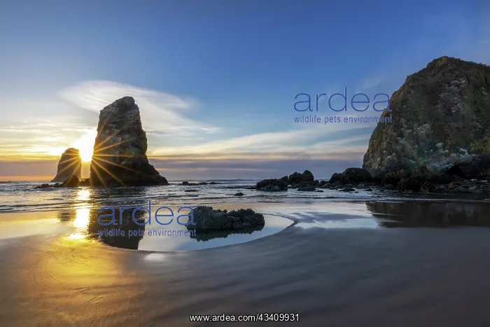 : Haystack Rock Pinnacles at low tide in Cannon Beach : Haystack Rock Pinnacles at low tide in Cannon Beach