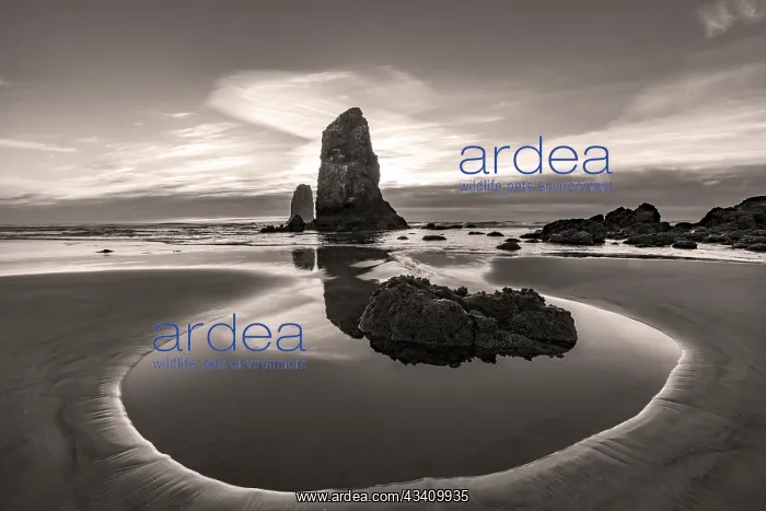 : Haystack Rock Pinnacles at low tide in Cannon Beach : Haystack Rock Pinnacles at low tide in Cannon Beach