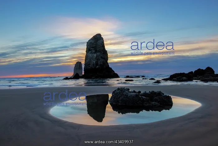 : Haystack Rock Pinnacles at low tide in Cannon Beach : Haystack Rock Pinnacles at low tide in Cannon Beach