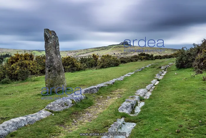 : Haytor - and Templer Tramway - Dartmoor - Devon - UK : Haytor - and Templer Tramway - Dartmoor - Devon - UK